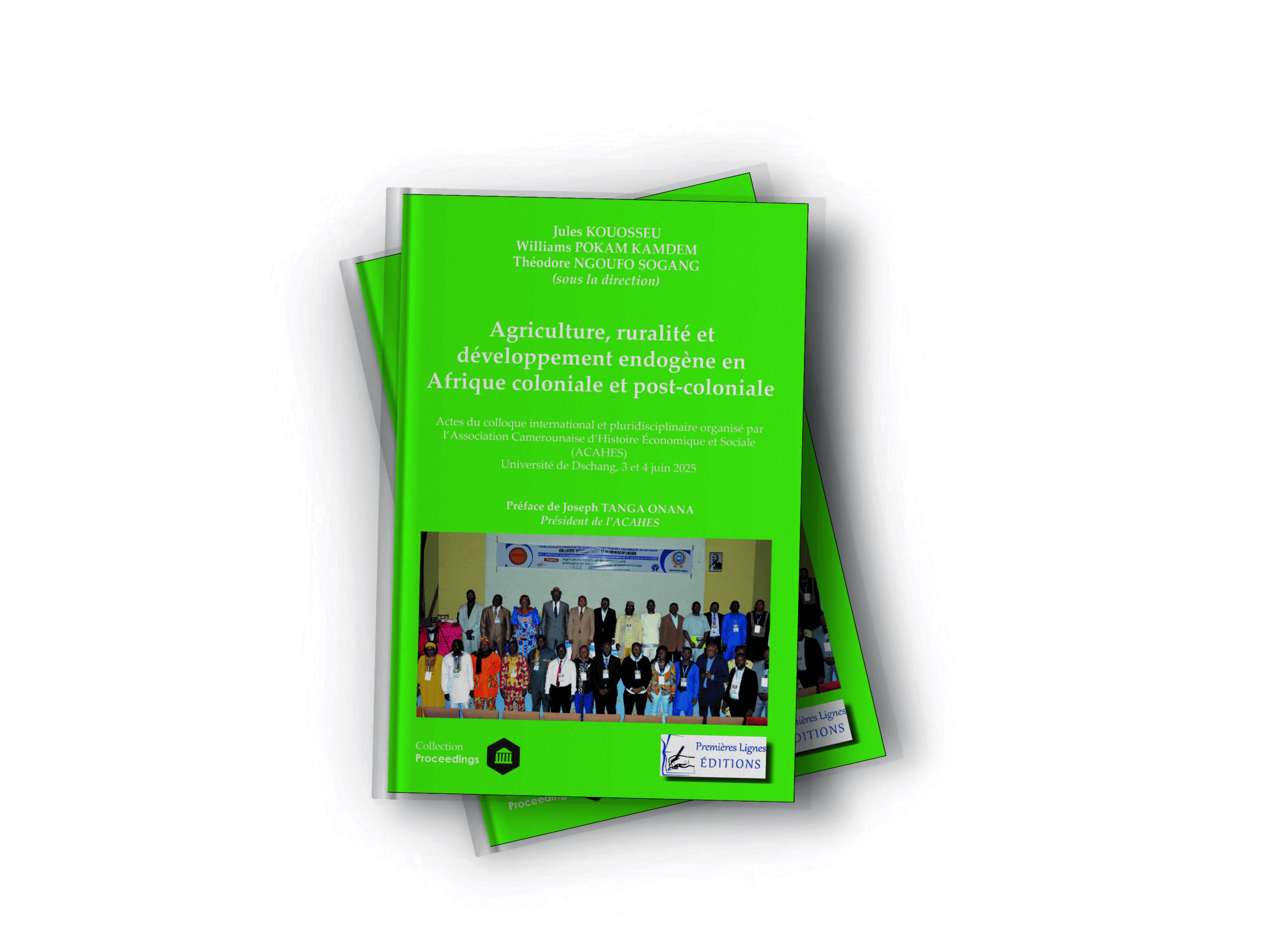 Cover 3D de l'ouvrage Agriculture, ruralité et développement endogène en Afrique coloniale et post-coloniale