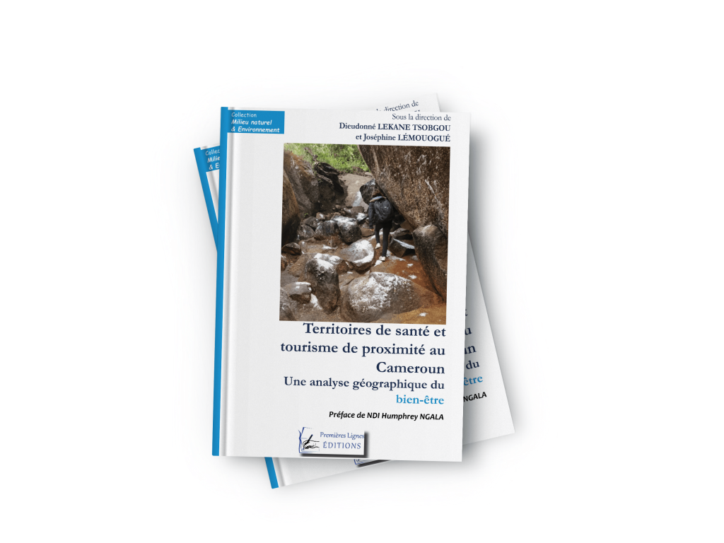 Cover 3D de l'ouvrage Territoires de santé